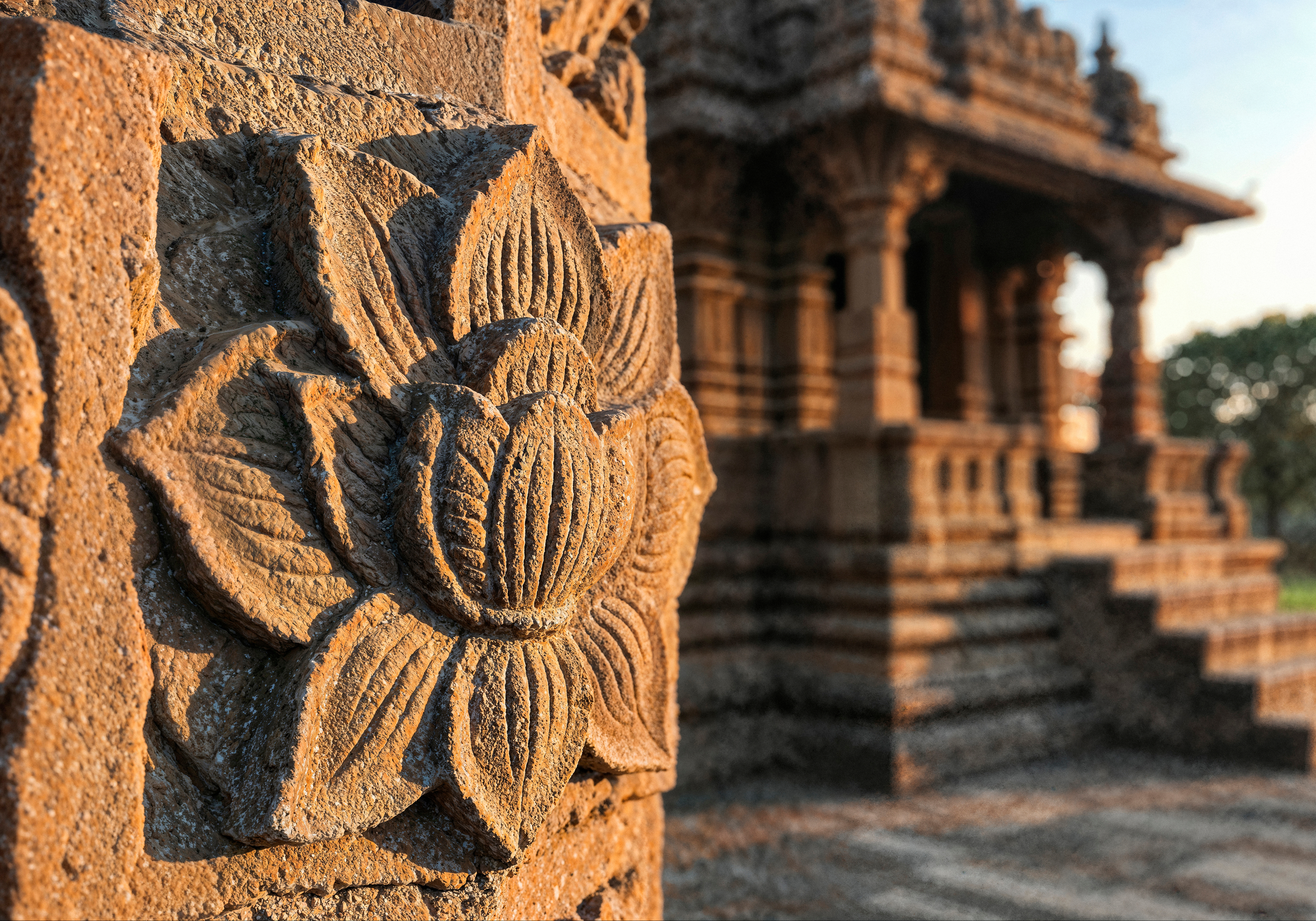 Sed sed officia quas