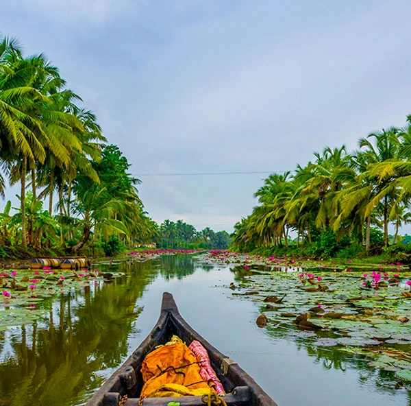 South India Tour Package (7 Days / 6 Nights)